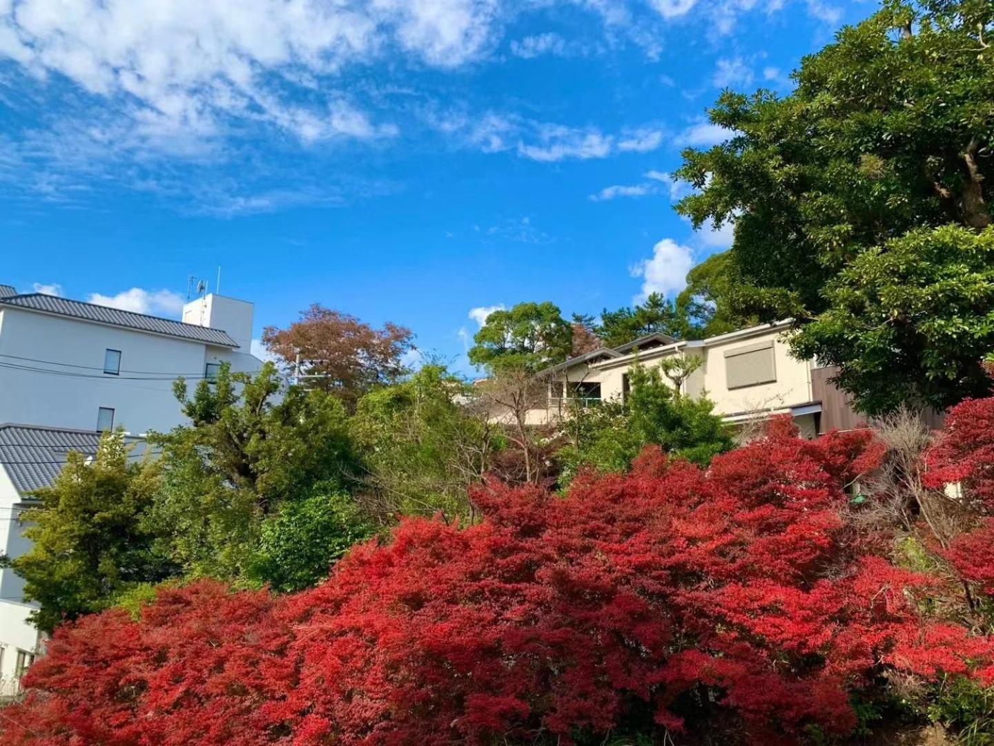 Hotel 雅竹miyabitake à Miyakami Extérieur photo